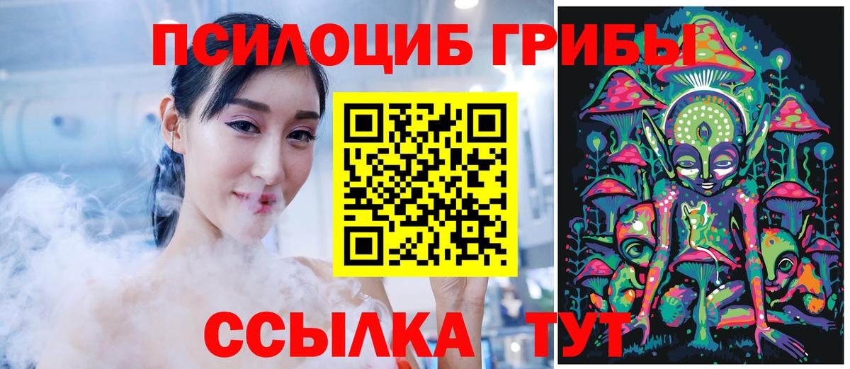 Елабуга  Псилоцибиновые грибы прущие грибы  Вход с VPN  Галлюциногенные грибы GOLDEN TEACHER 