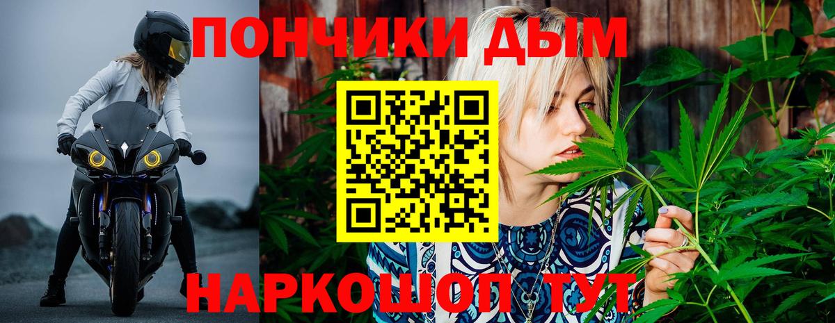 Конопля сатива Елабуга